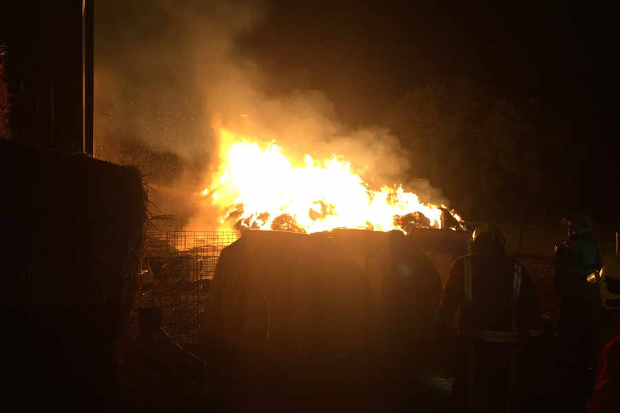 Flames that claimed the lives of 10 cattle (Photo: West Midlands Fire Service)