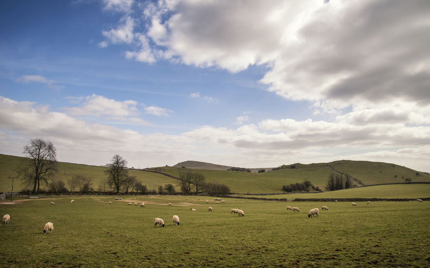 There is an opportunity for 'major policy change' to develop a new vision that will establish a 'sound future' for farming