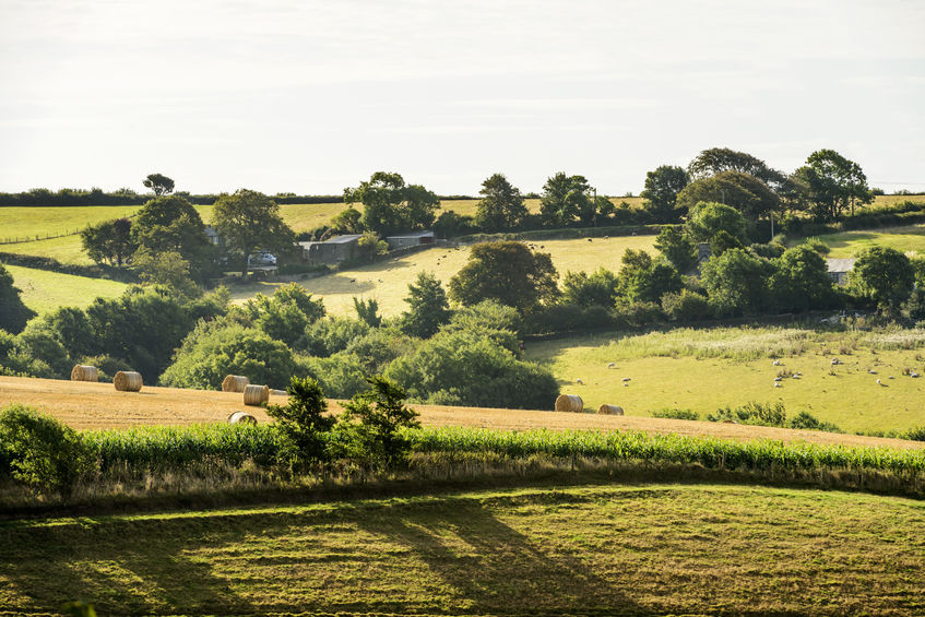 There are 34,000 fewer farms in the UK than there were a decade ago, the report says