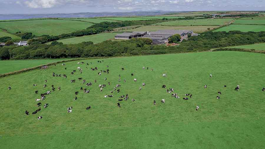 Broadmoor Farm currently houses a herd of 400 Holstein Friesans