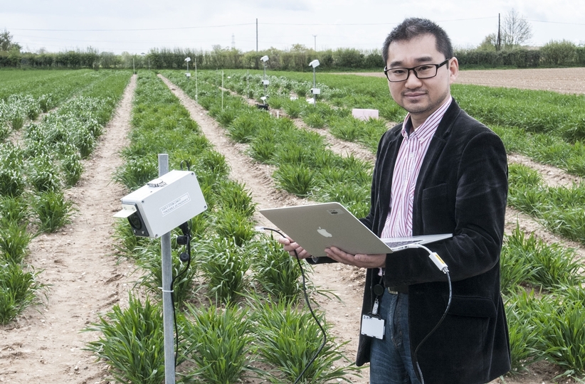 Dr Ji Zhou establishing CropQuant workstations in the field trials to monitor crop growth at JIC farm (Photo: John Innes Centre)