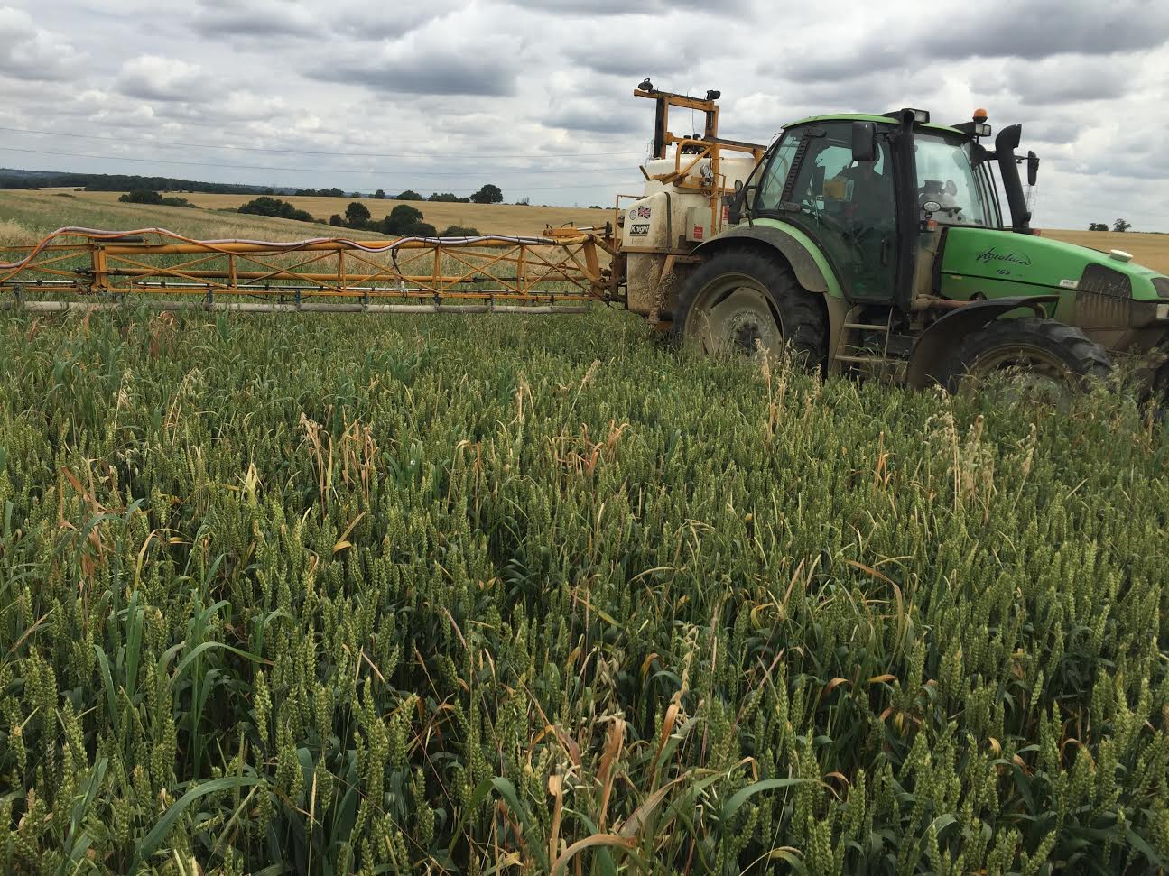 Wiping weeds with herbicide from a boom on the back of a sprayer