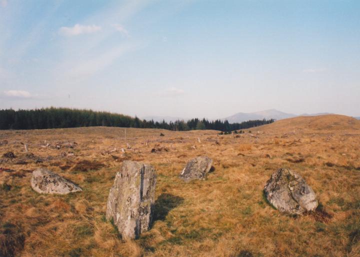 Attention sheep: Job posting required to help maintain ancient monument