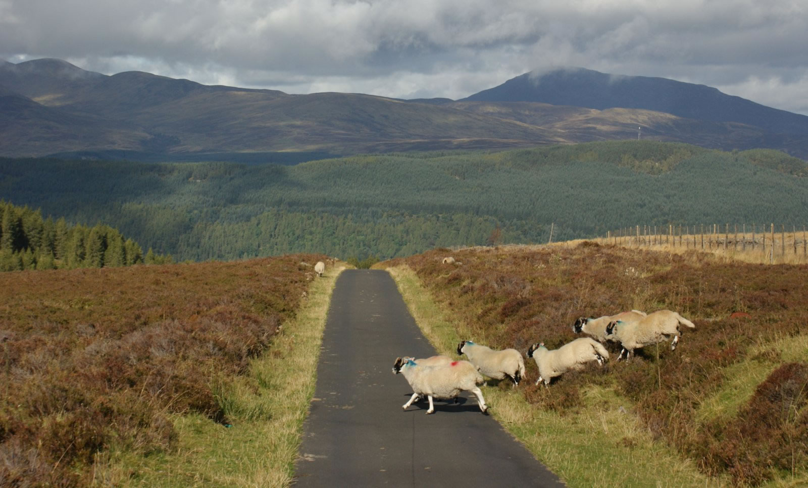 Na Clachan Aoraidh stone circle