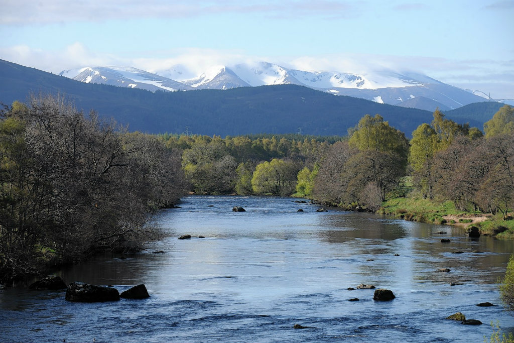 Tulchan has eight miles of renowned double bank fishing on the Spey