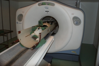 CT scanning could help farmers be top of the flocks