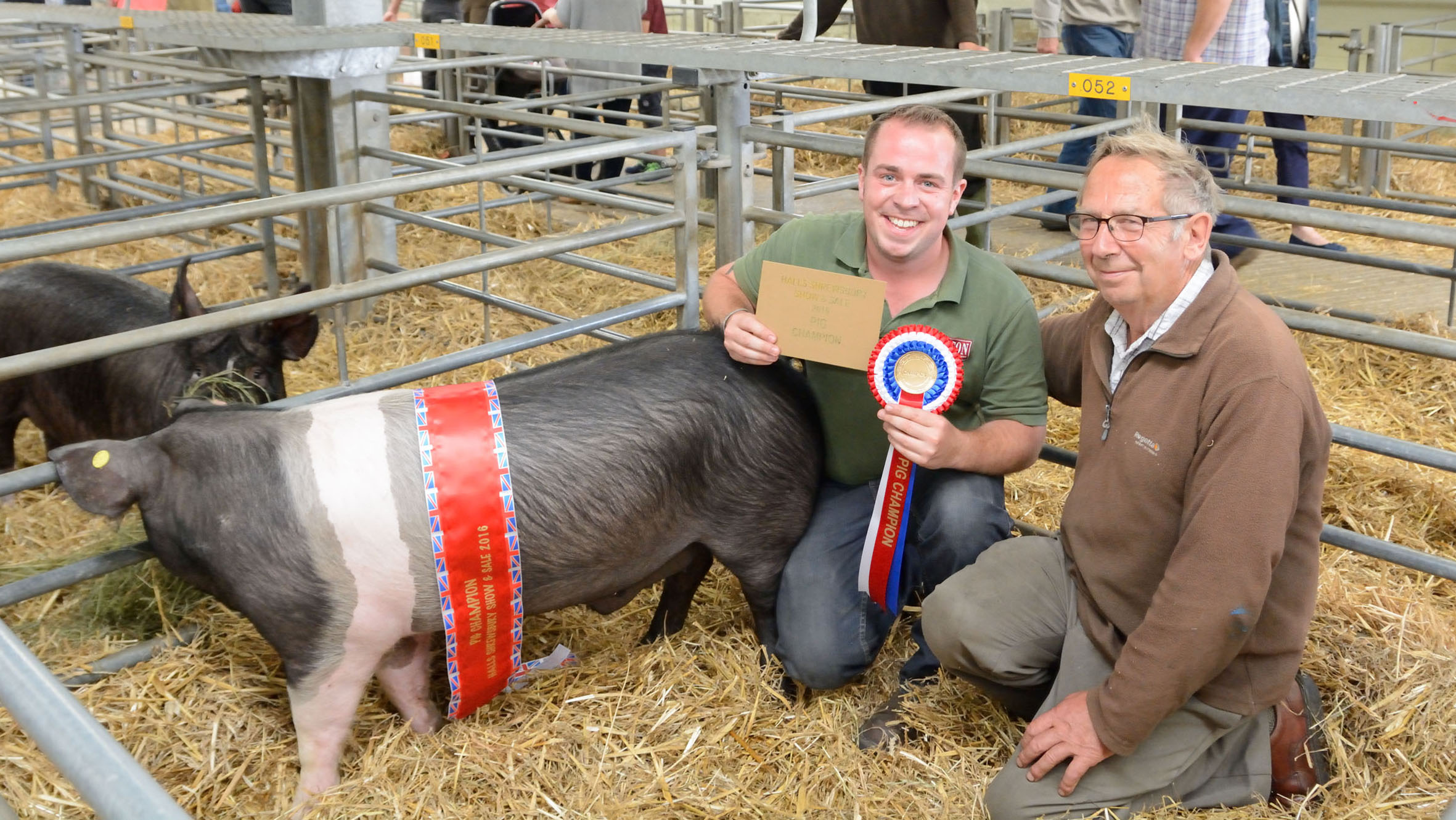 British Saddleback champion