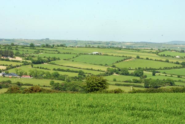 Scotland-only management rules on harvesting and field margins put Scottish growers at a "competitive disadvantage"