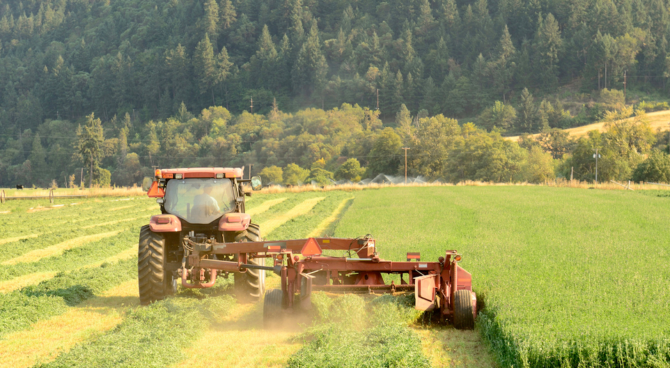 Businesses 'are key in getting food into the public sector, small retailers and restaurants'