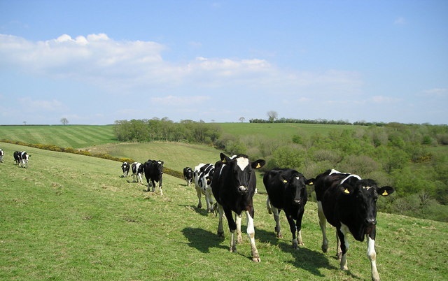 Over €30 million will be dedicated to assisting farmers in the UK