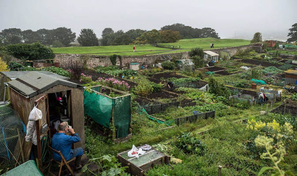 In the 1940s rural households relied on allotments to provide 92% of their fruit & veg in winter