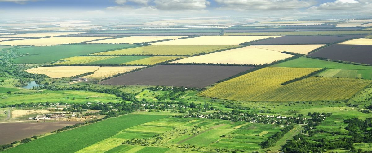 The National Association of Independent Accountancy Practices (MHA) produced a snapshot of attitudes in farming today, taken shortly before the EU referendum