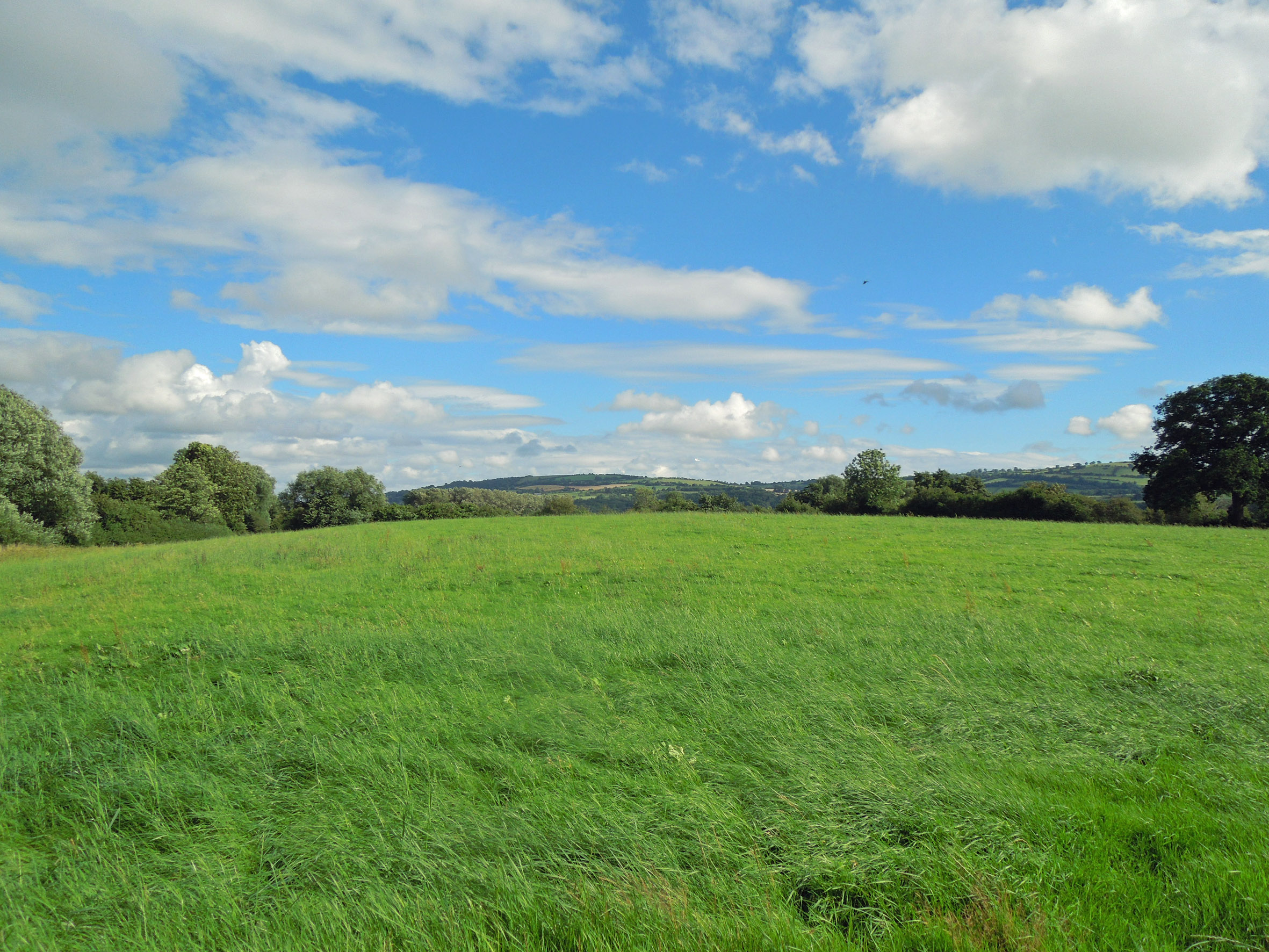 Welsh border pastureland on the market with Halls‏ FarmingUK News