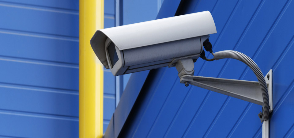 CCTV is mainly used for monitoring and protecting animal welfare in slaughterhouses