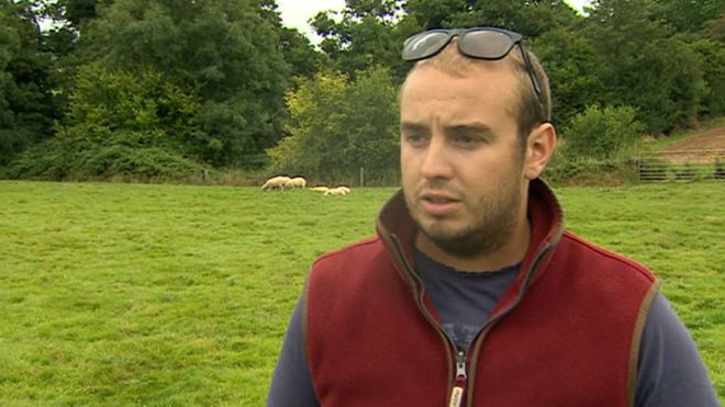 The losses to Mr Handleys flock are estimated to be around the sum of £10,000