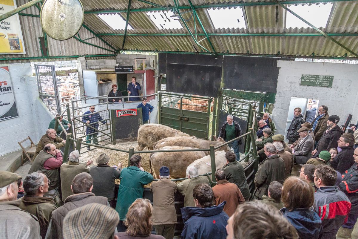 Marts are keen to provide individual animal health status at the time of sale