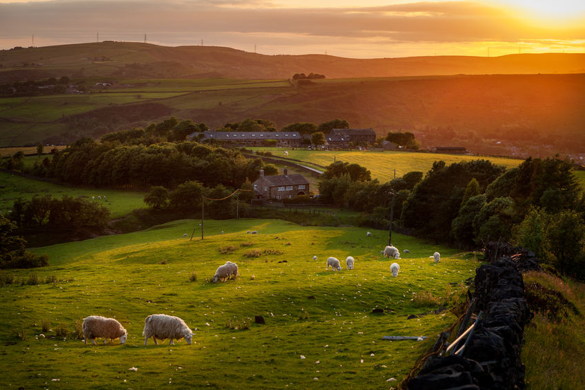 Letter from 36 MPs urges Theresa May to redirect post-Brexit subsidies towards the environment