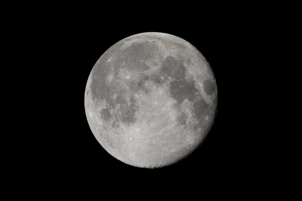 Birth rate was statistically higher during and near a full moon