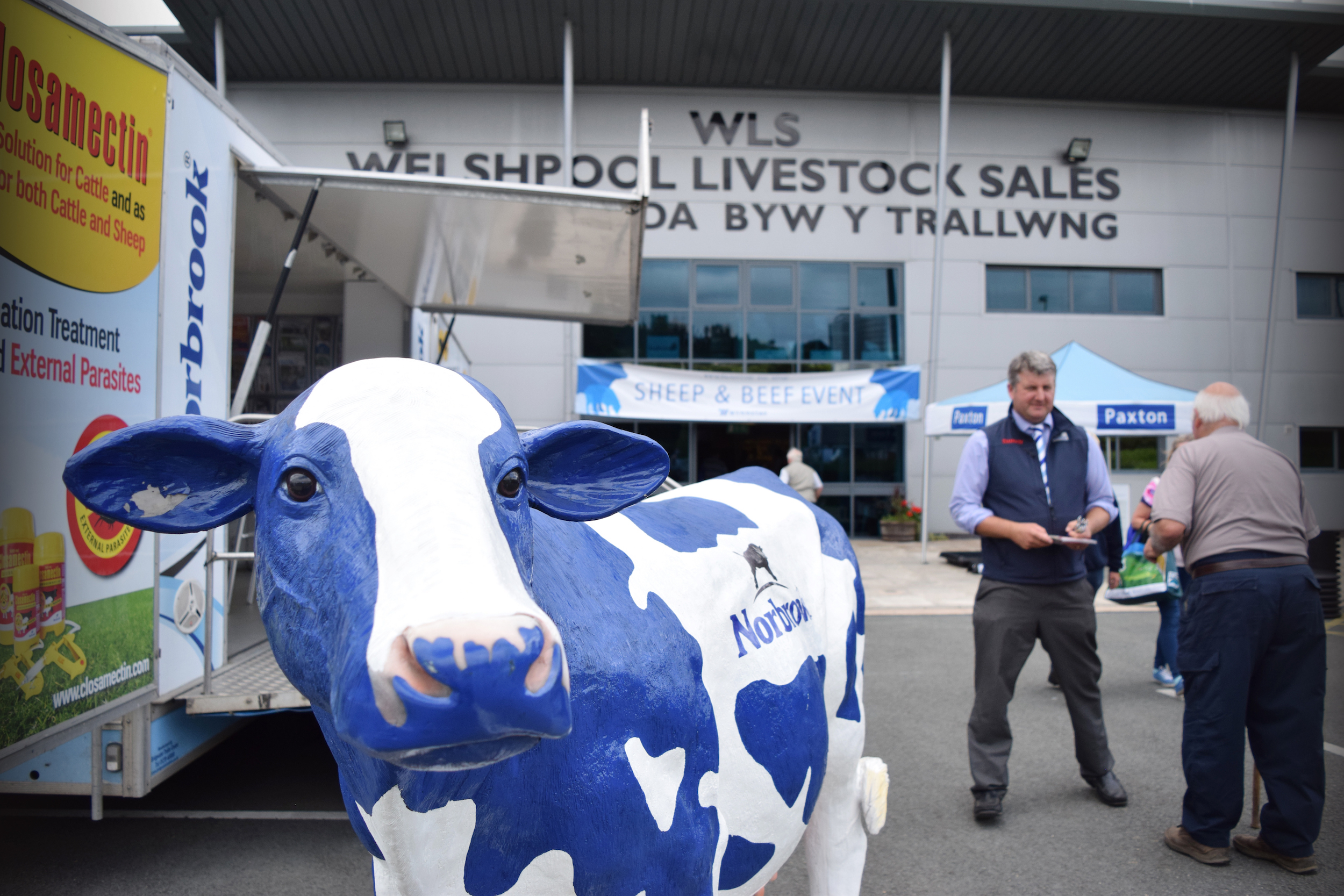 500 people flocked to the Sheep and Beef Event at Welshpool Market