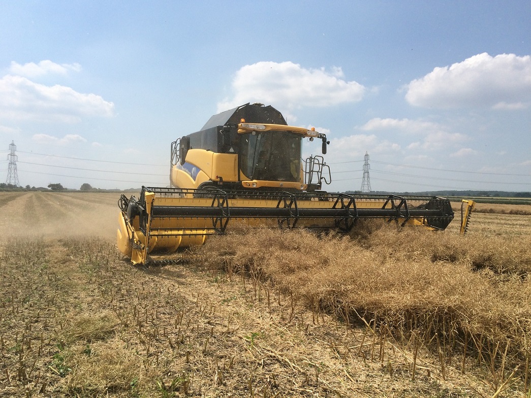 There are still advantages to growing OSR, a grower in Cambridgeshire has said