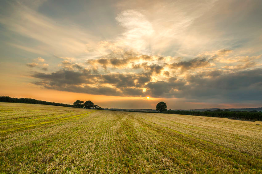 Ministers are seeking views on proposals for a register of controlling interests in land owners and tenants