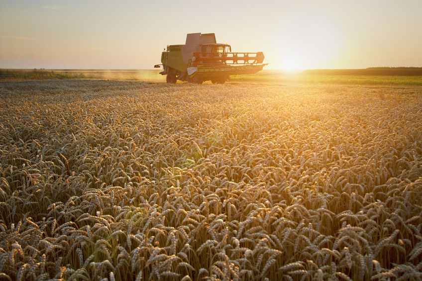The aim is to tackle major environmental & social challenges facing agricultural supply chains and rural communities