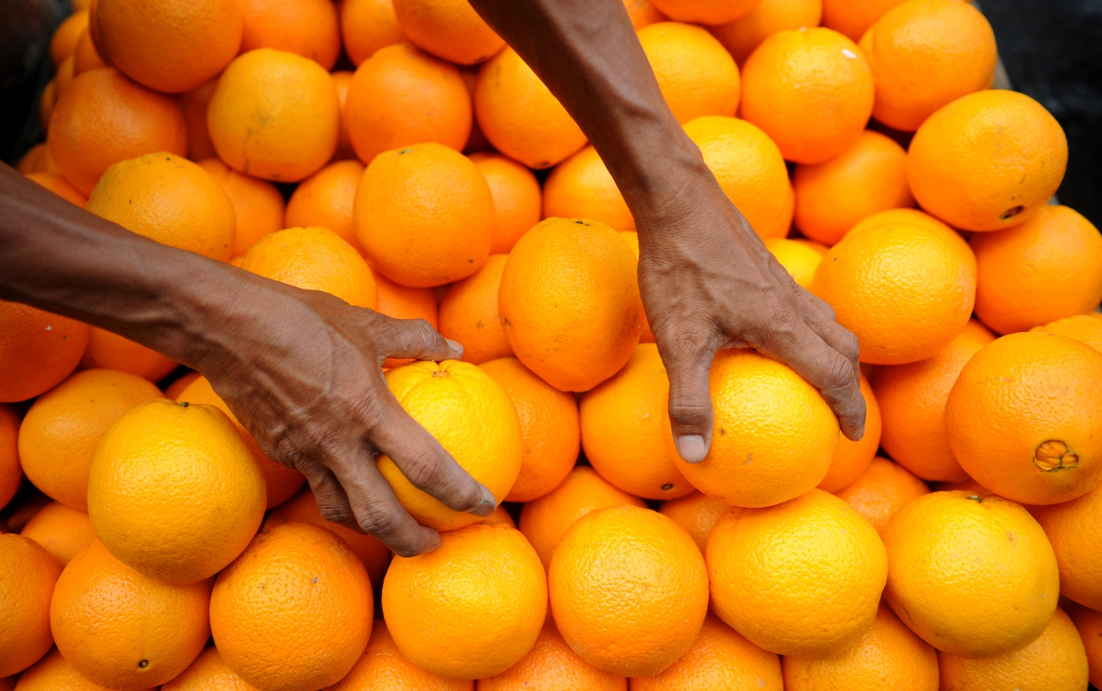 South Africa is the world's largest exporter of citrus fruit, but the EU farming sector is warning against a free-trade deal