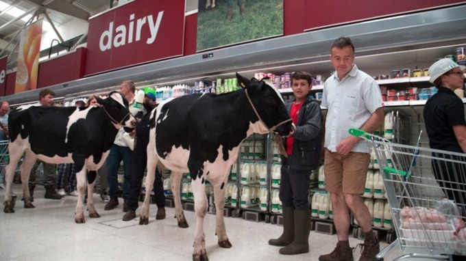 Dairy farmers take live cows into Stafford supermarket to campaign over milk prices