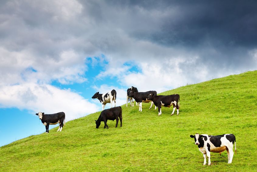 AHDB is shining a spotlight on the opportunities available to attract young talent