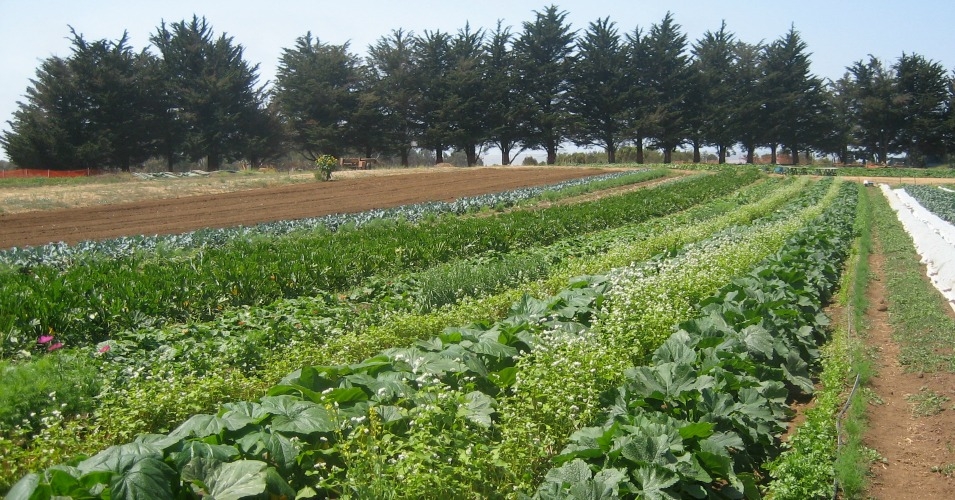 "There are clear opportunities for organic farming – the organic market is in the fourth year of sustained growth"