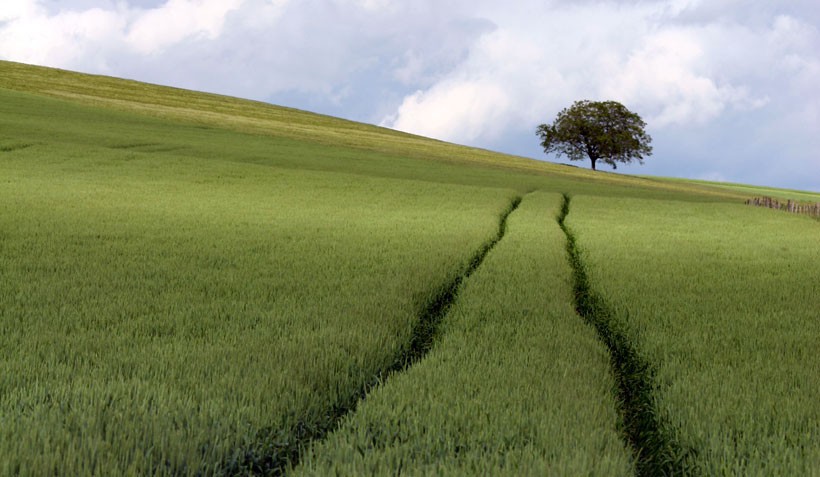 The Greens are calling for a farming support policy which improves soil fertility, protects and encourages biodiversity