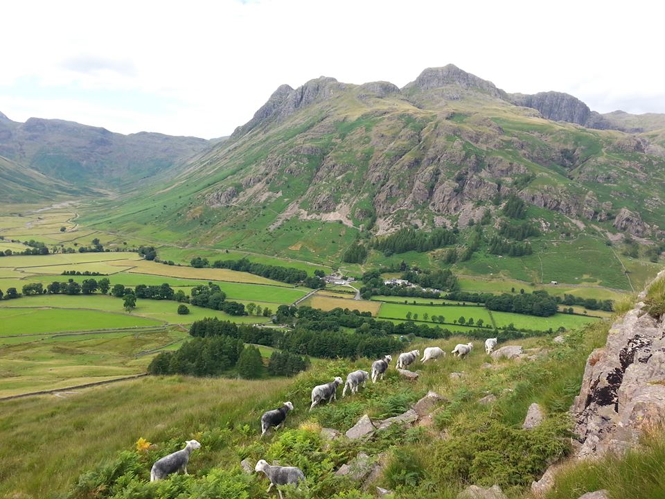 Full explanation demanded into why Cumbria's commoners still haven't been paid 2015 BPS