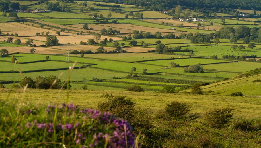 The organisations are emphasising the need for a countryside for food, wildlife and people