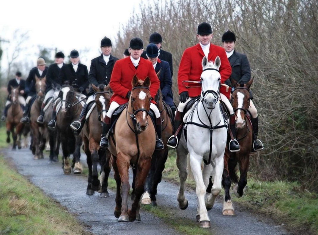 Andrea Leadsom said a 'proper licensed regime' could be brought in after the lifting of the ban on hunting