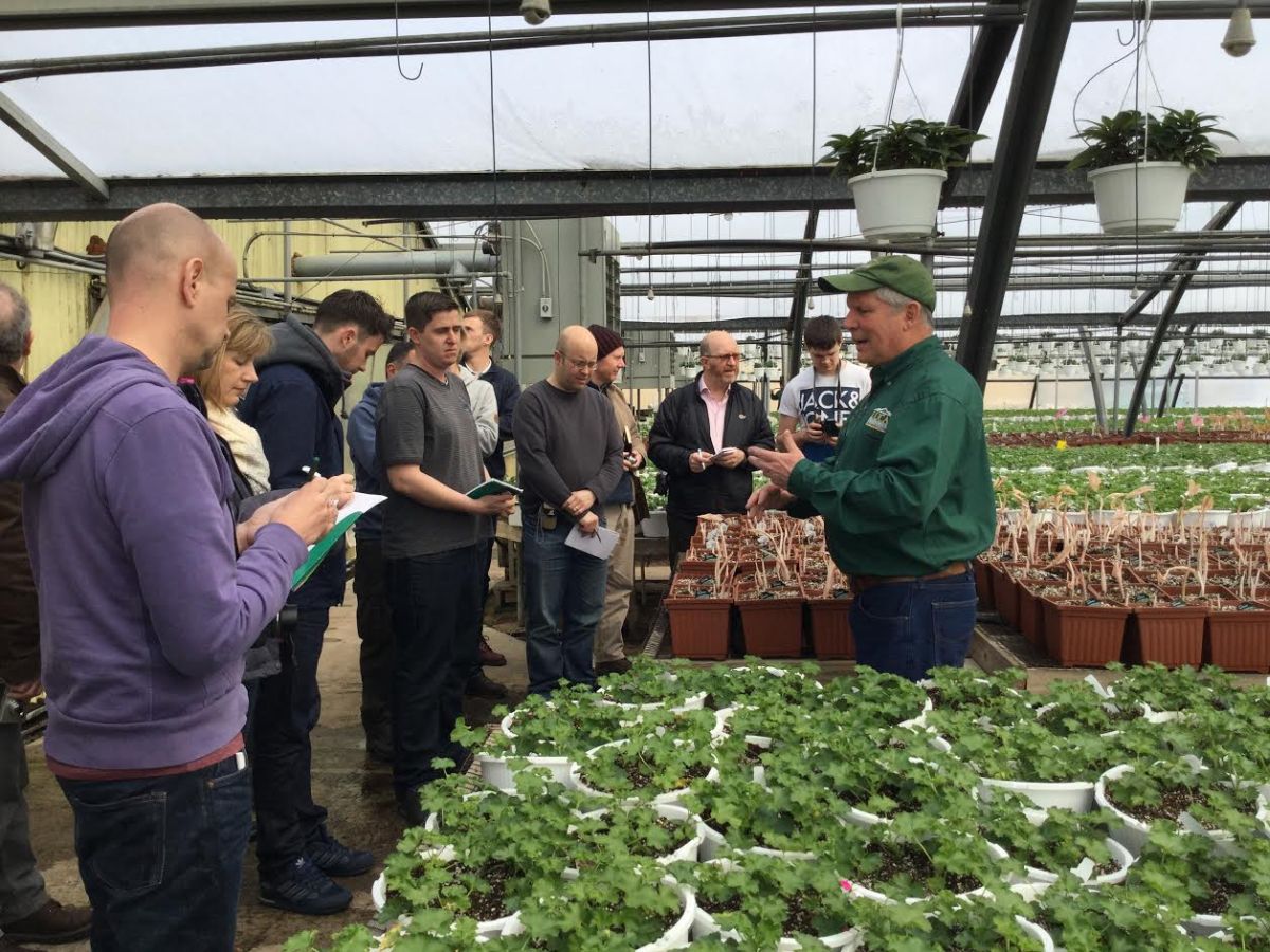 The focus of the study tour will be on the production of seasonal plants