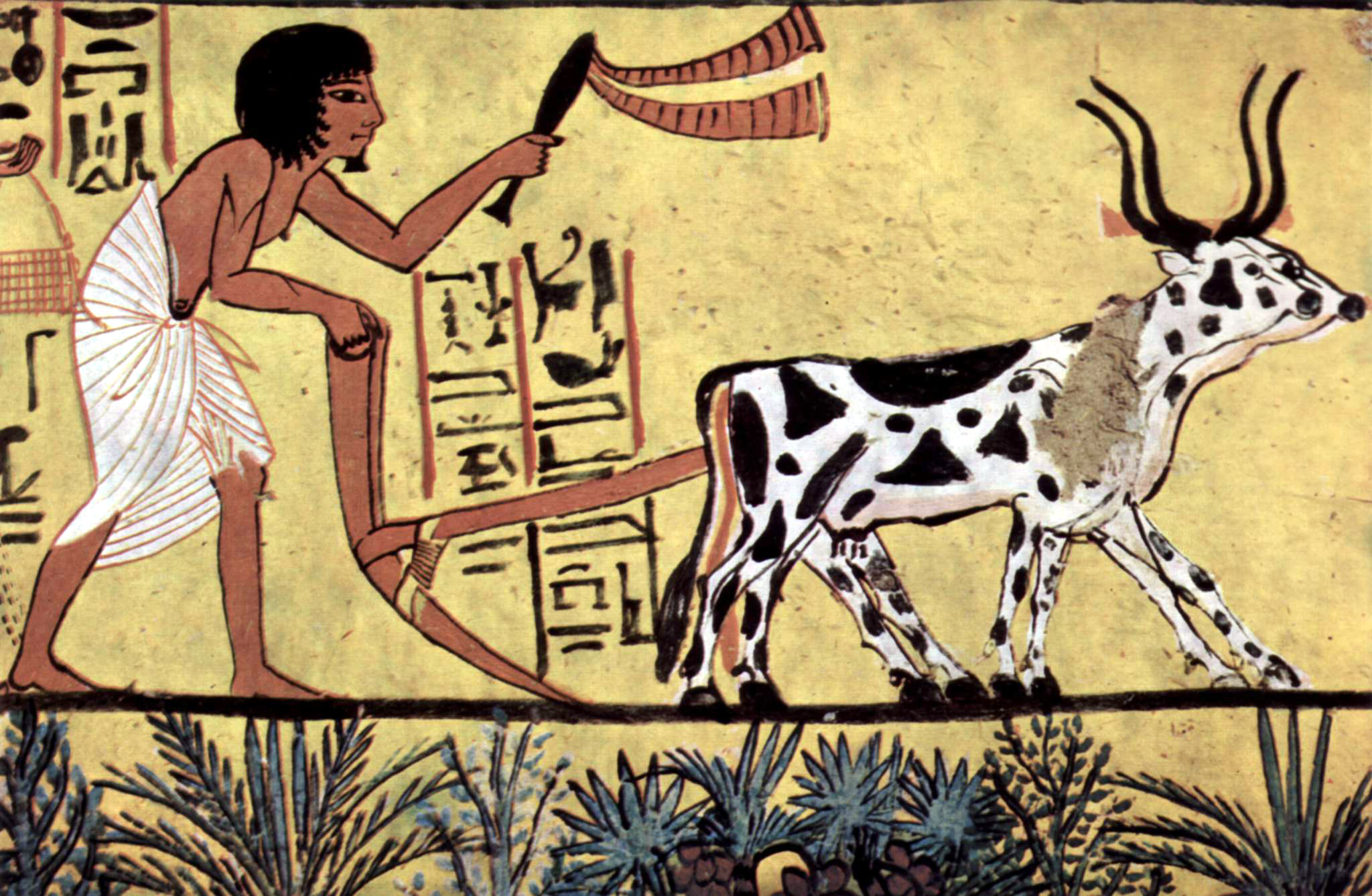 Ploughing with a yoke of horned cattle in Ancient Egypt. Painting from the burial chamber of Sennedjem