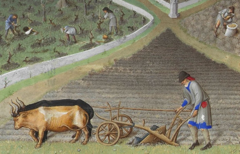 Crucial to the development of early agriculture was the invention of the plough