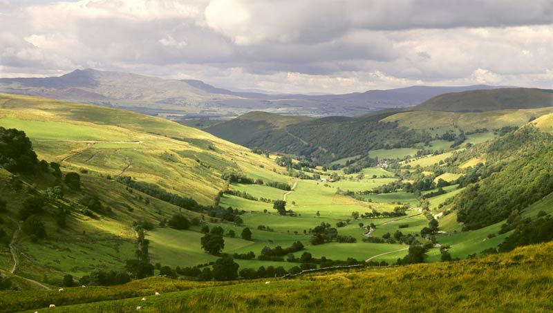 Arable land prices are down 7% on Q2 and are about 10% lower than a year ago