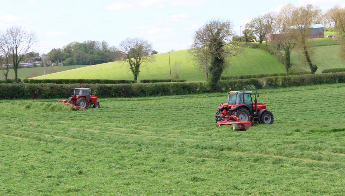 The loan scheme has the potential to inject £300 million into the Scottish rural economy