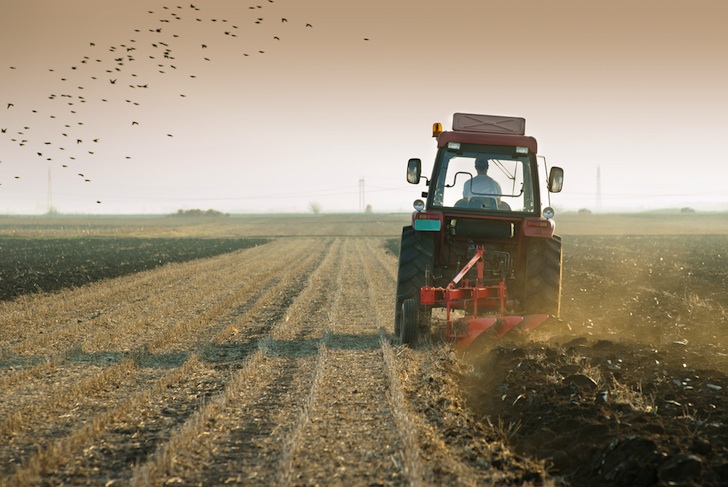 Farmers are concerned about the impact of a ‘hard-Brexit’ on agriculture