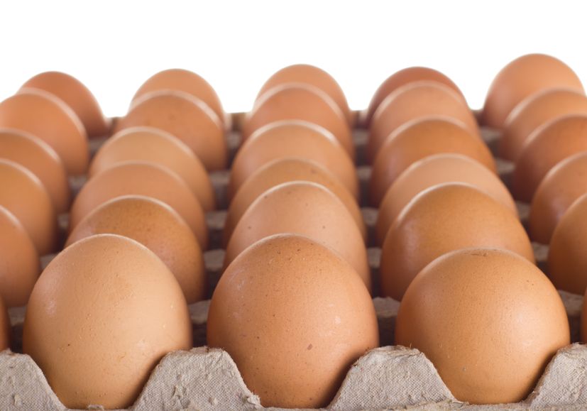 All major retailers committed to cage-free eggs by 2025
