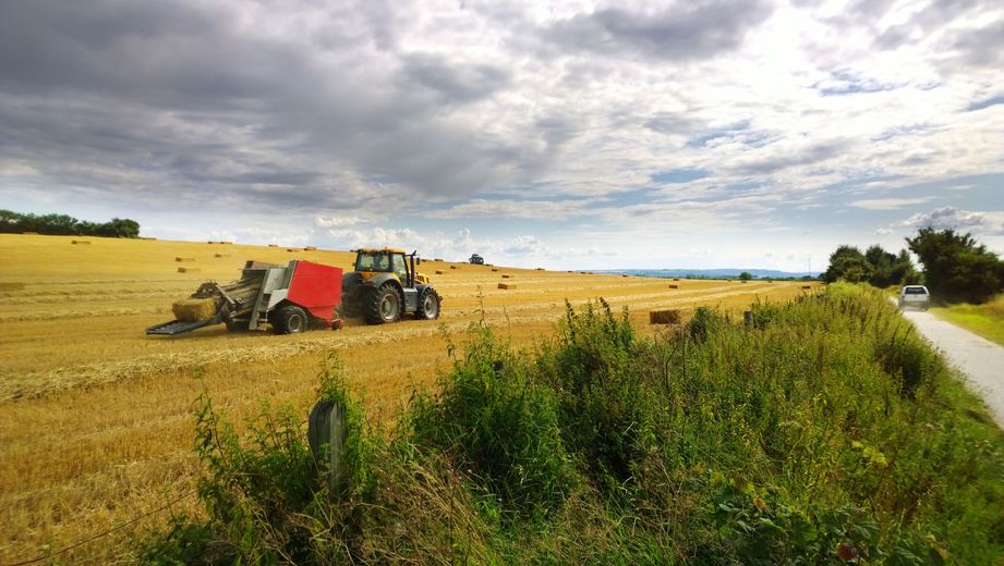 "We must also acknowledge the huge and important part farming can play in averting climate chaos by capturing carbon"