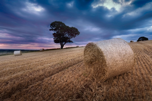 Interest groups have called for fundamental changes to farm support spending