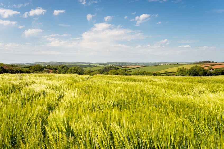 Uncertainty following Brexit may lead to reducing land values
