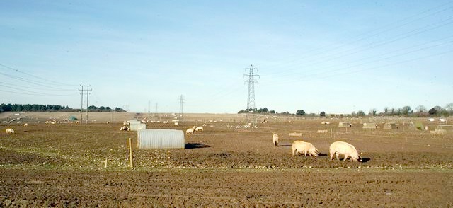 The NPA said the UK is 45% self-sufficient in pig-meat and needs to commit to local and global food security