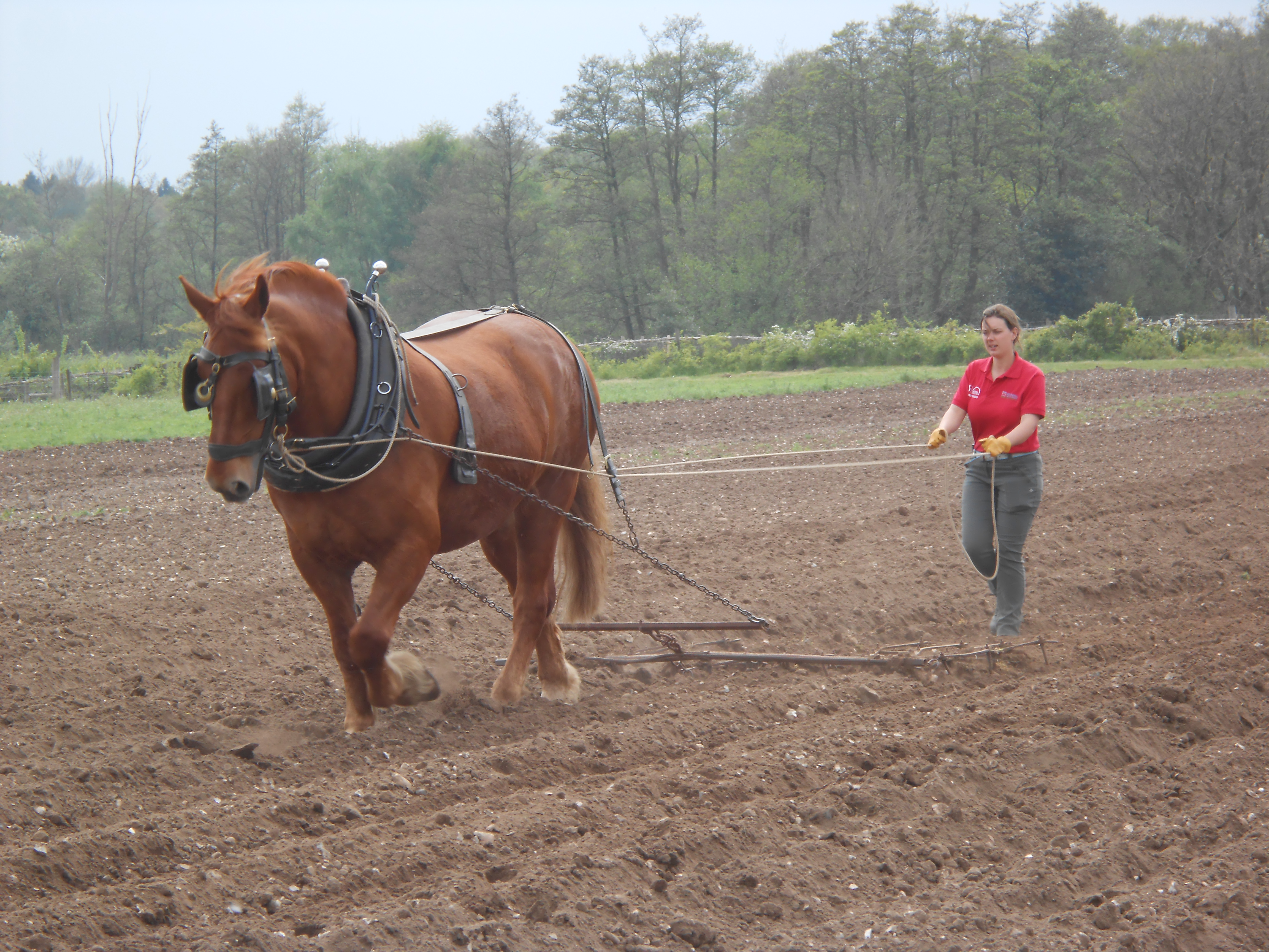 24-year-old farmer Danielle Chatten