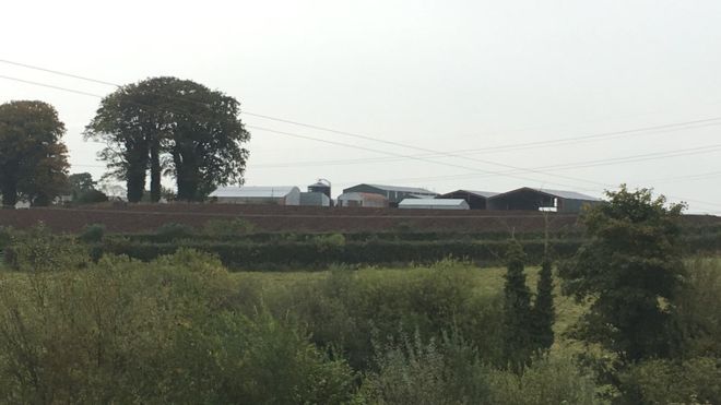 The accident happened at a farm in Coagh, County Tyrone 