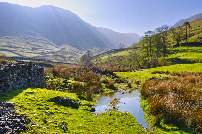 Lack of funds in environmental schemes for farmers are 'creating a vacuum', warns UFU