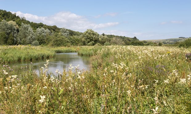 Both organisations agree that agri-environment schemes are the best way to protect the countryside