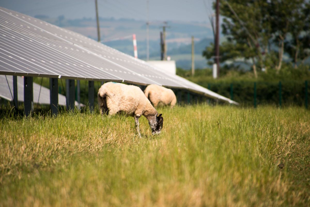 Resilience to climate change can be achieved with the 'introduction of sustainable agricultural practices'